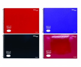 CADERNO CARTOGRAFIA MEIA PAUTA 80FLS ESSENCIALE COLORS